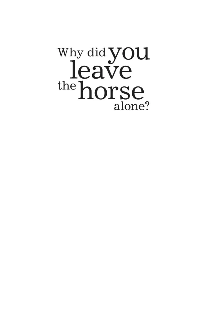 Why Did You Leave the Horse Alone? A collection of poems by Mahmoud Darwish preview 2